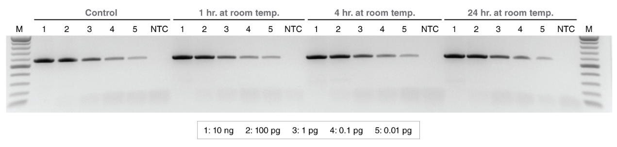 LunaScript® 一步法多重 RT-PCR 试剂盒                               #E1555L 250 reactions