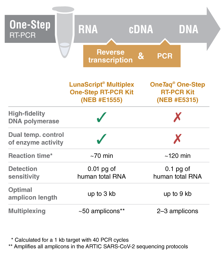 LunaScript® 一步法多重 RT-PCR 试剂盒                               #E1555L 250 reactions