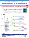 B细胞受体分析SMARTer Human BCR IgG IgM H/K/L Profiling Kit