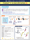 cDNA合成试剂PrimeScript&trade; IV 1st strand cDNA Synthesis Mix