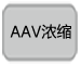 AAV表达载体pAAV-ZsGreen1 Vector