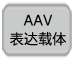 293T包装细胞 AAVpro&reg; 293T Cell Line