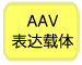 AAV表达载体pAAV-ZsGreen1 Vector