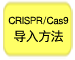 重组Cas9蛋白质（10 μg/μl）