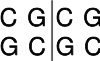 常规限制酶Acc II (FunD II)