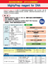 粗提样品DNA聚合酶MightyAmp&trade; DNA Polymerase Ver.3