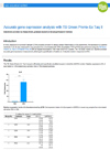 染料法大包装qPCR试剂TB Green&reg; Premix Ex Taq&trade; II (Tli RNaseH Plus), Bulk