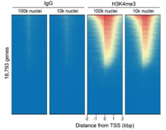 EpiCypher新品推荐——H3K4me3 Antibody, SNAP-Certified™ for CUT&RUN and CUT&Tag