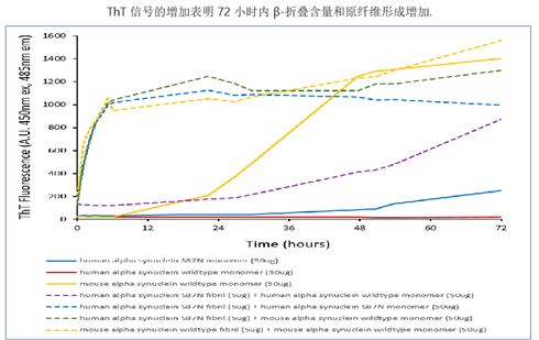 StressMarq——Alpha 突触核蛋白产品推荐（3）