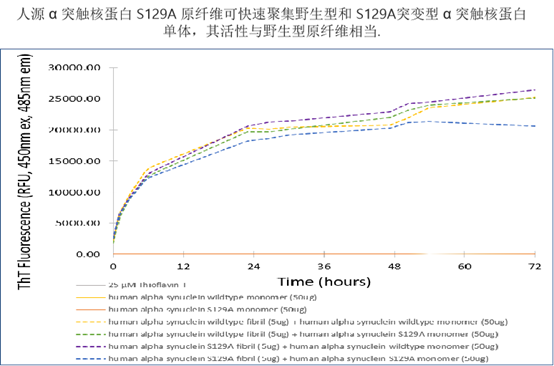 StressMarq——Alpha 突触核蛋白产品推荐（3）