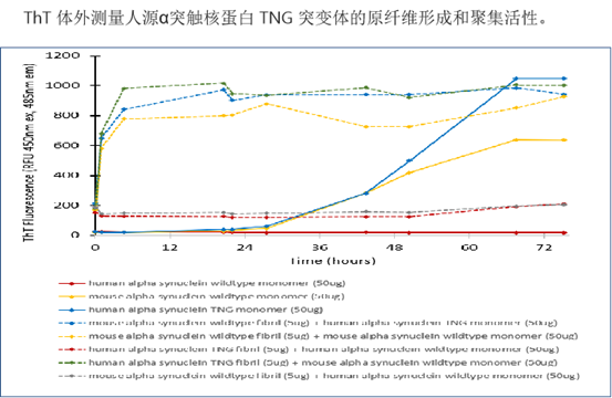 StressMarq——Alpha 突触核蛋白产品推荐（3）