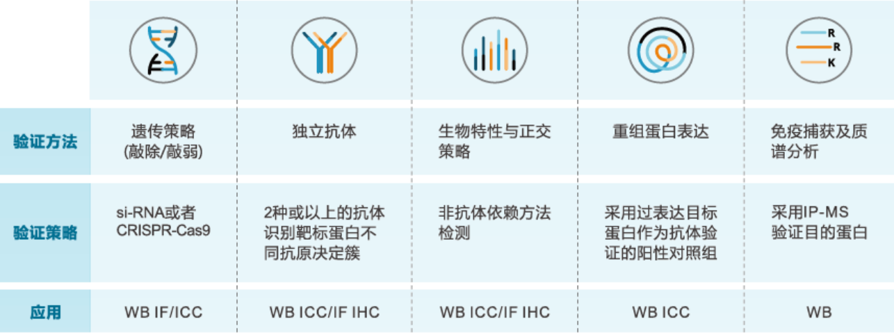 开学季——Atlas Antibodies Pan-Cancer标志物抗体特价促销