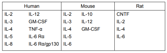 Human IL-6 ELISA试剂盒说明书