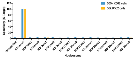 H3K4me1 Antibody——EpiCypher新品推荐