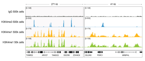 H3K4me1 Antibody——EpiCypher新品推荐