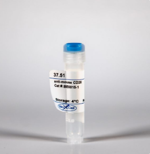 BioXcell热销产品--InVivoMab anti-mouse CD28