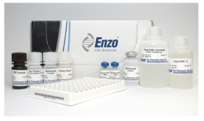 ENZO热销产品——Methotrexate（甲氨蝶呤）ELISA kit