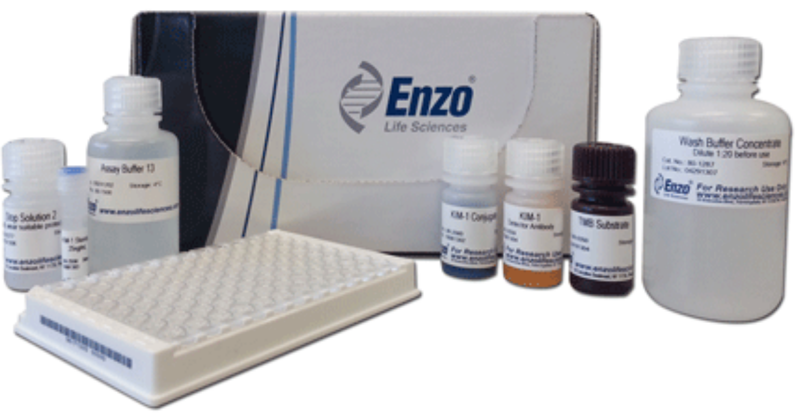 酶联免疫检测肾损伤分子-1试剂盒KIM-1 (human) ELISA kit—Enzo Life Sciences热销产品 酶联免疫检测肾损伤分子-1试剂盒KIM-1 (human) ELISA kit—Enzo Life Sciences热销产品