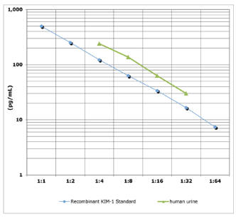 酶联免疫检测肾损伤分子-1试剂盒KIM-1 (human) ELISA kit—Enzo Life Sciences热销产品 酶联免疫检测肾损伤分子-1试剂盒KIM-1 (human) ELISA kit—Enzo Life Sciences热销产品
