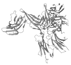 心血管研究相关产品推荐｜Mouse IL-33 ELISA Kit（Quick Test）