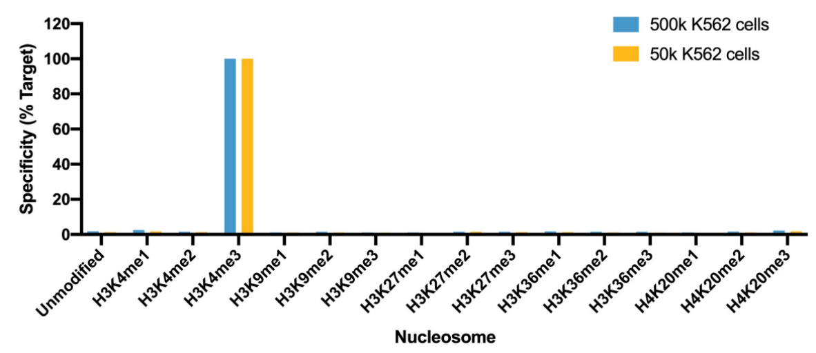 Epicypher热销产品——Histone H3K4me3 Antibody, SNAP-Certified™ for CUT&RUN and ChIP