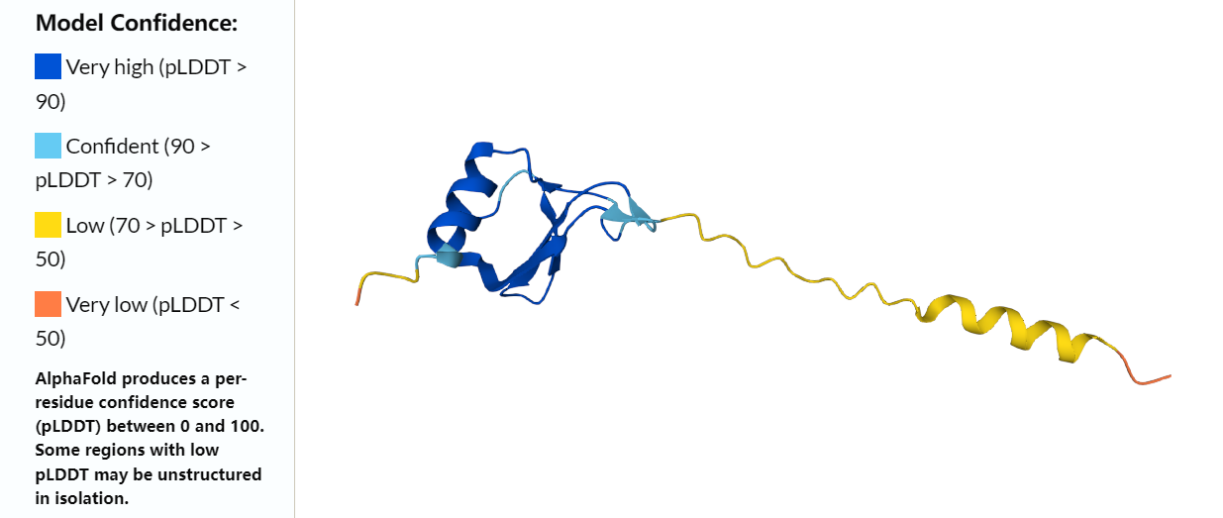 新品推荐｜Mouse KC(IL-8) 快速检测ELISA试剂盒