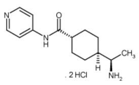 Enzo Life Sciences精选生物制药领域热销小分子产品限时特惠 Enzo Life Sciences精选生物制药领域热销小分子产品限时特惠