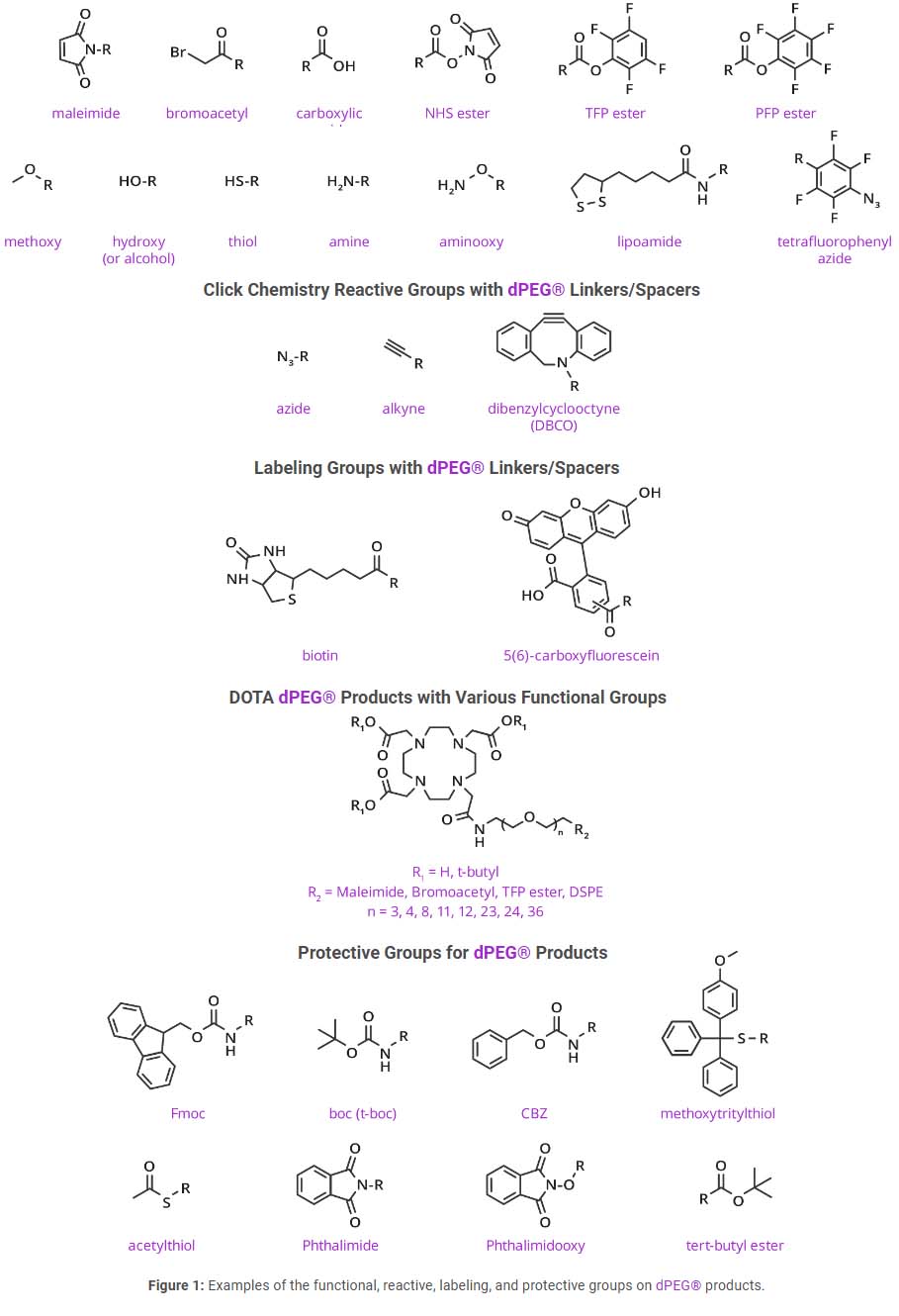Vector Laboratories｜用于生物偶联疗法BioDesign™ dPEG® Linker连接平台