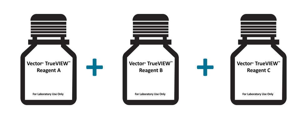 高分SCI文章@你——Vector True VIEW™ Kit带你飞