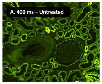 高分SCI文章@你——Vector True VIEW™ Kit带你飞