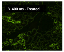 高分SCI文章@你——Vector True VIEW™ Kit带你飞