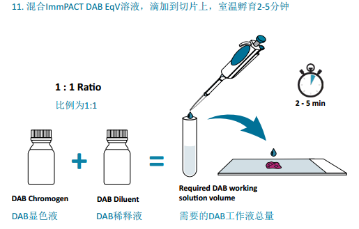 VECTASTAIN® Elite® ABC mini-PLUS Kits现货促销啦