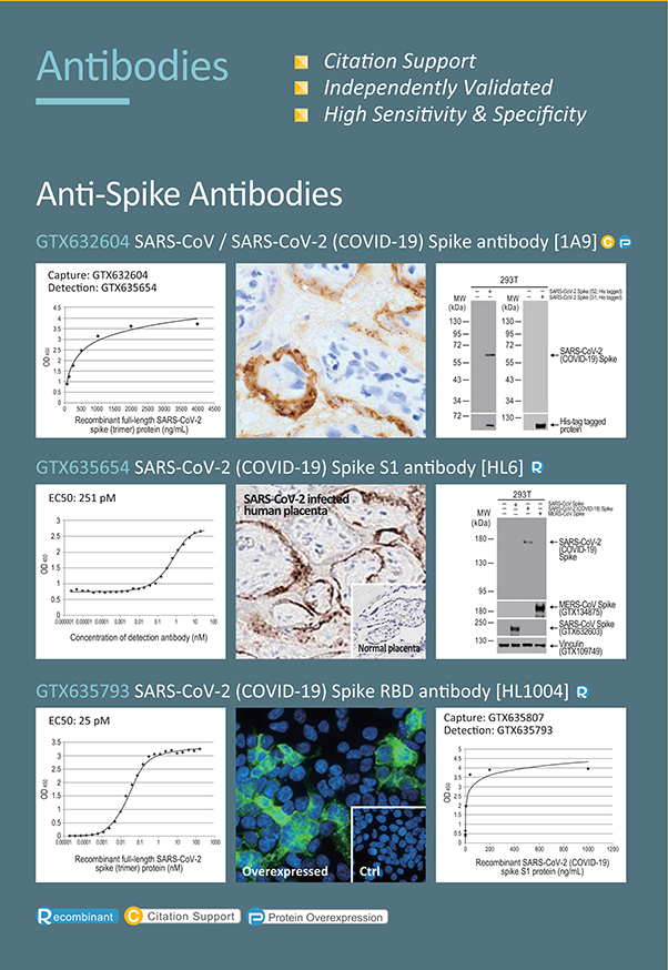 SARS-CoV-2(COVID-19)Research Reagents