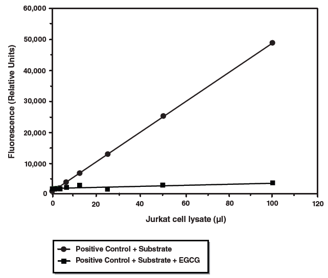 Cayman检测试剂盒(Assay kits)---基于细胞的检测试剂盒篇 Cayman检测试剂盒(Assay kits)---基于细胞的检测试剂盒篇