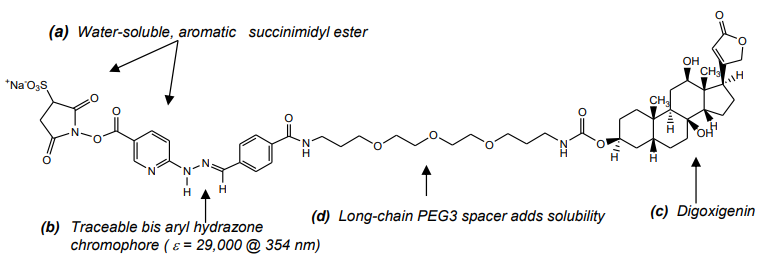 Vector Laboratories热销产品——ChromaLink® Digoxigenin One-Shot An
