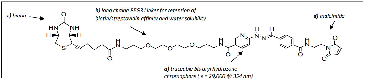Vector Laboratories热销产品——ChromaLink® Biotin Maleimide Reagent