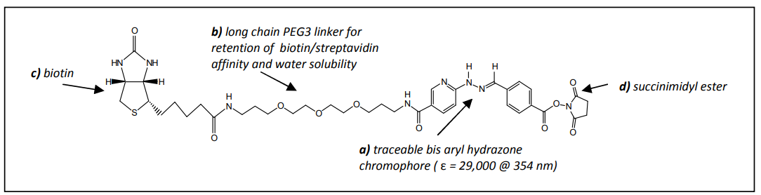 Vector Laboratories热销产品——ChromaLink® Biotin (DMF Soluble)