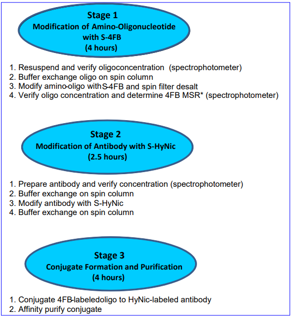 Vector Laratories热销产品——Antibody-Oligonucleotide All-in-One Conjugation Kit(1)