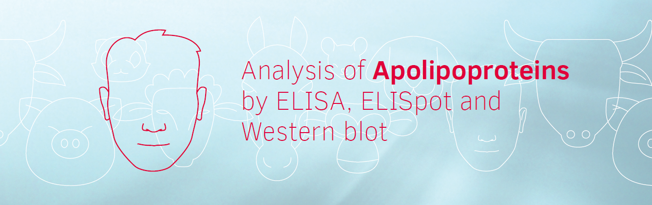 Mabtech载脂蛋白相关抗体对/ELISA试剂盒/ELISpot试剂盒