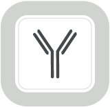 Mabtech载脂蛋白相关抗体对/ELISA试剂盒/ELISpot试剂盒