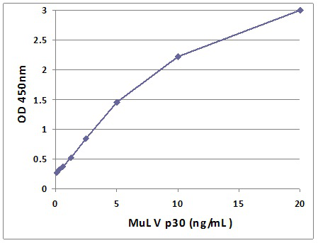 Cell Biolabs热销产品QuickTiter MuLV Core Antigen ELISA Kit