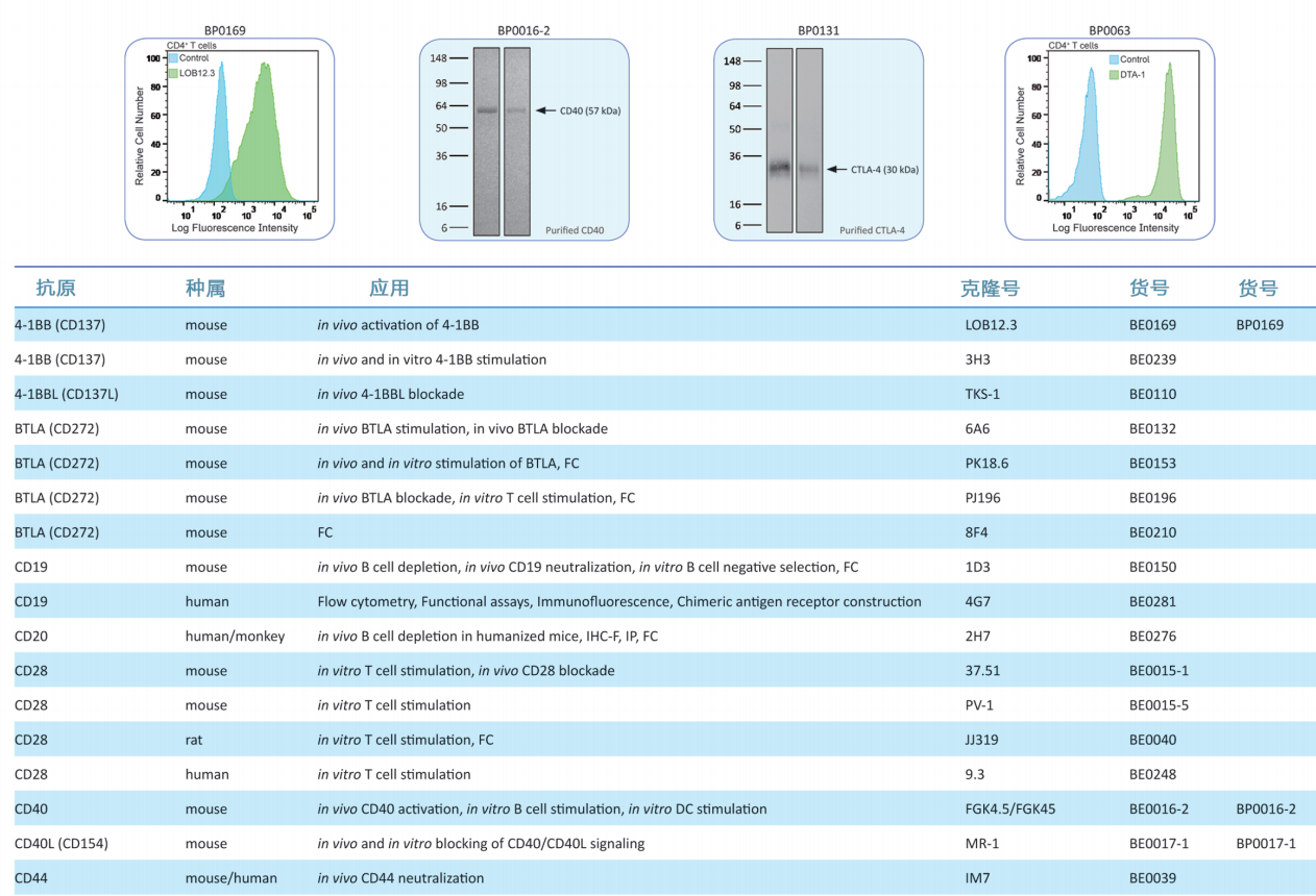 BioXCell癌症研究相关抗体