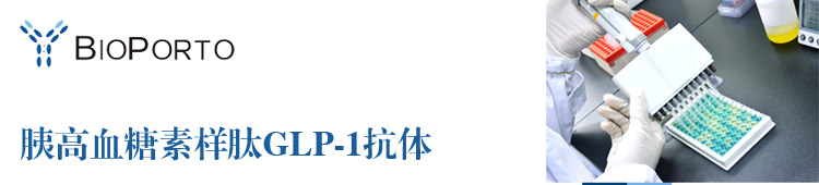 胰高血糖素样肽GLP-1抗体