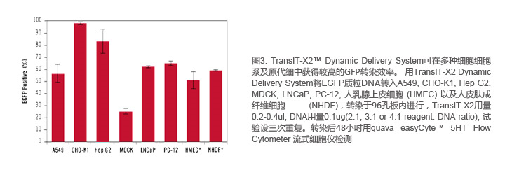 高效、低毒、广谱性转染试剂荟萃