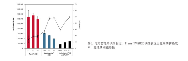 高效、低毒、广谱性转染试剂荟萃