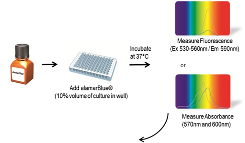 alamarBlue-新一代细胞活性指示剂