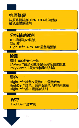 Enzo IHC系列产品，让您的IHC检测多姿多彩！