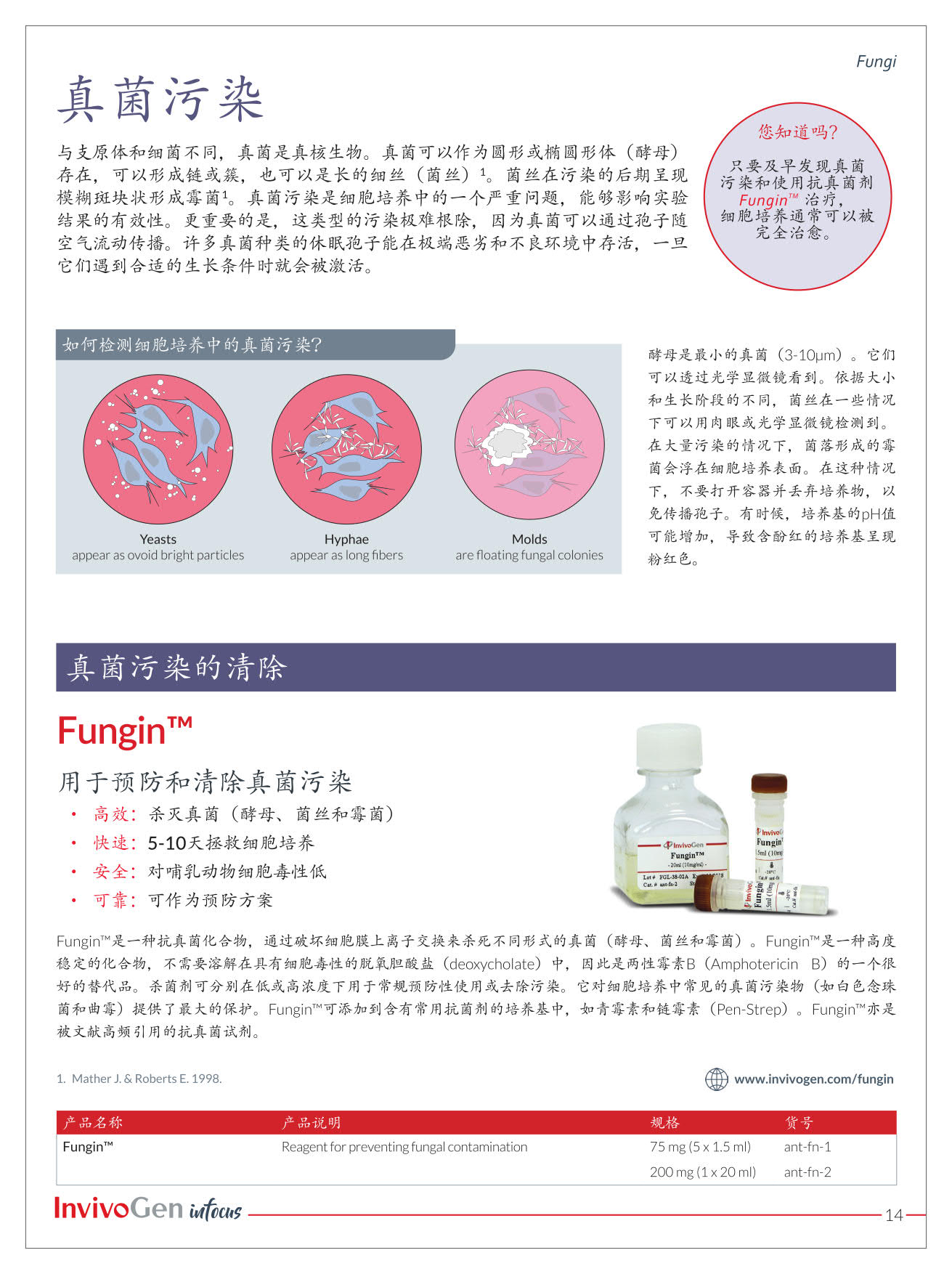 细胞培养污染指南