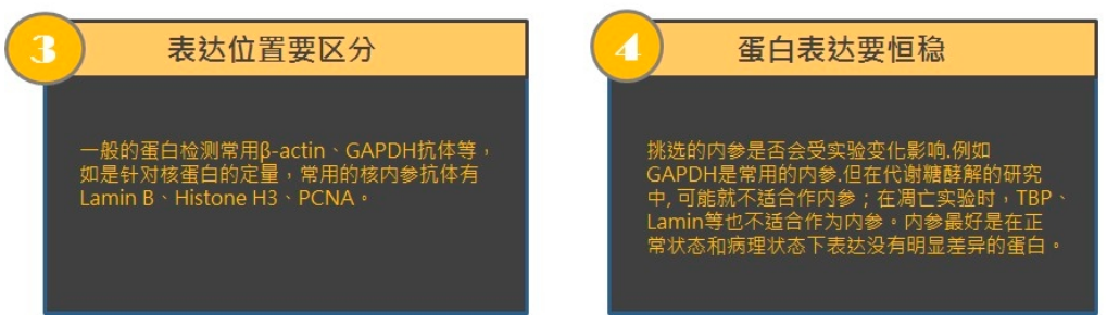 如何挑选内参抗体