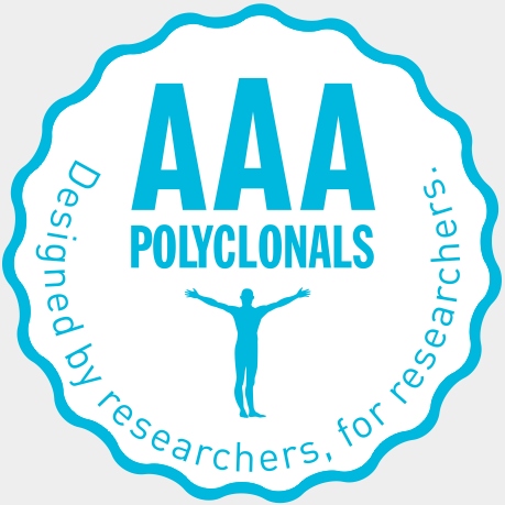 抢、 抢、 抢！Atlas Antibodies 全线产品低至7折促销